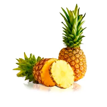 Suco Polpa